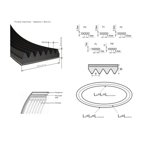 Ремінь 1287 ELH8 Megadyne, Zanussi 124021140 (поліуретановий)