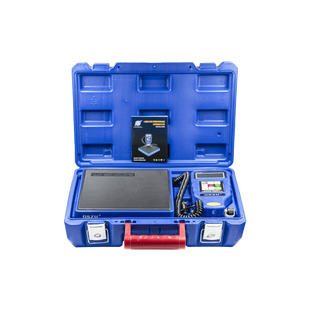 Електронні ваги для холодоагенту Whicepart DSZH RCS-N9030 (поділ 5 г, до 100 кг)